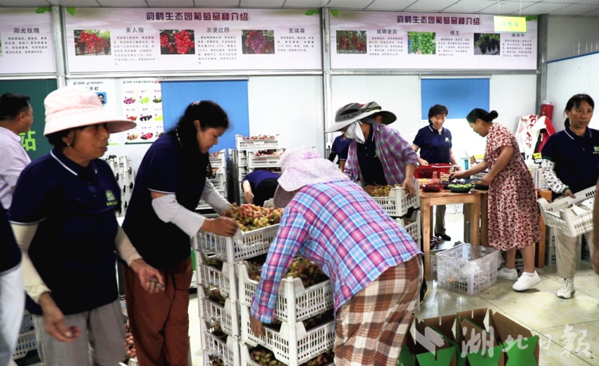 银钻娱乐缅甸怎么样
